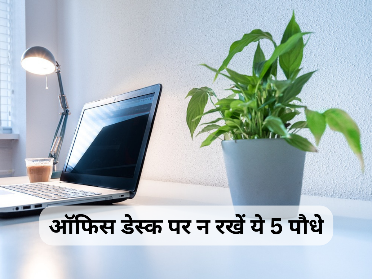 Vastu Plants for office : ऑफिस डेस्क पर कभी न रखें ये 5 पौधे, तरक्की में आएगी बाधा और परेशानी