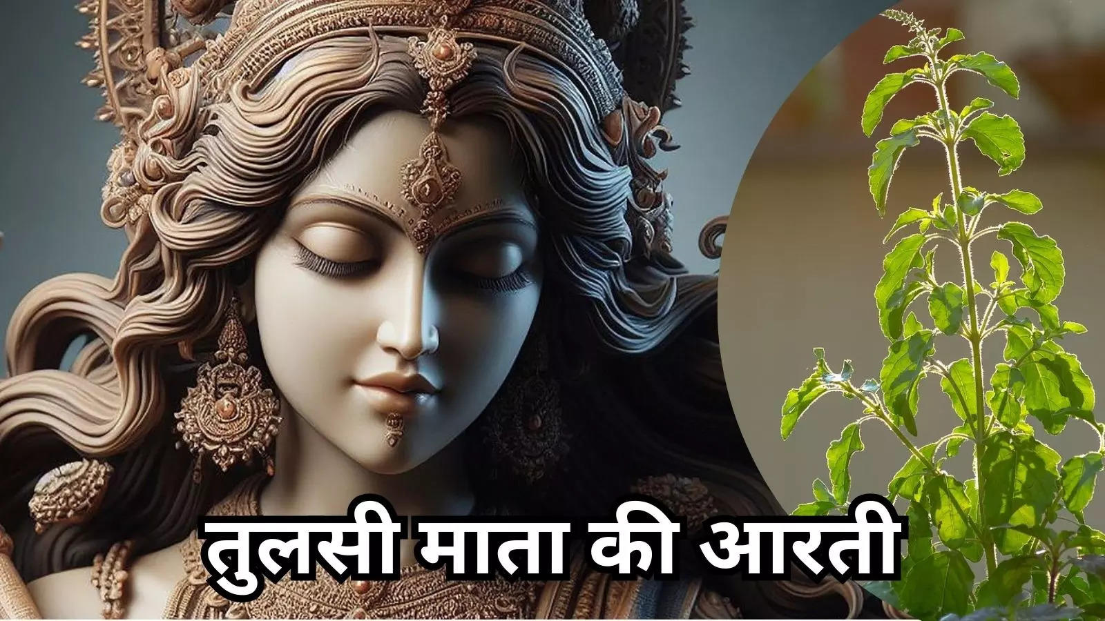 Tulsi Mata Ki Aarti : आरती तुलसी महारानी की, जय वृन्दा तुलसी की, प्राण की प्यारी प्रभुजी...