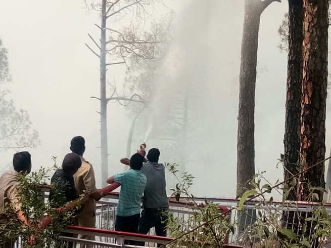 त्रिकुटा पहाड़ियों के जंगल में लगी आग, रोकी गई माता वैष्णो देवी की यात्रा